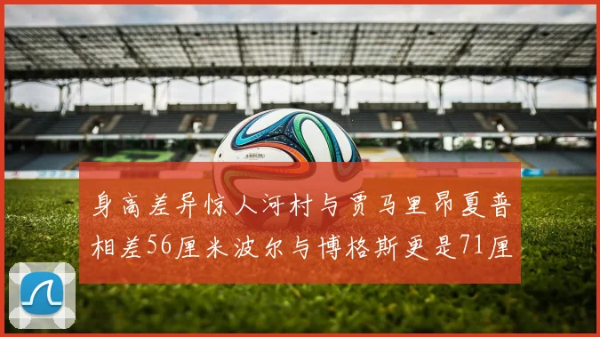 身高差异惊人河村与贾马里昂夏普相差56厘米波尔与博格斯更是71厘米