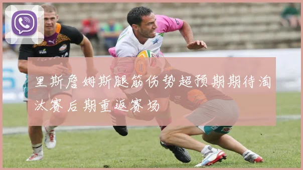 里斯詹姆斯腿筋伤势超预期期待淘汰赛后期重返赛场